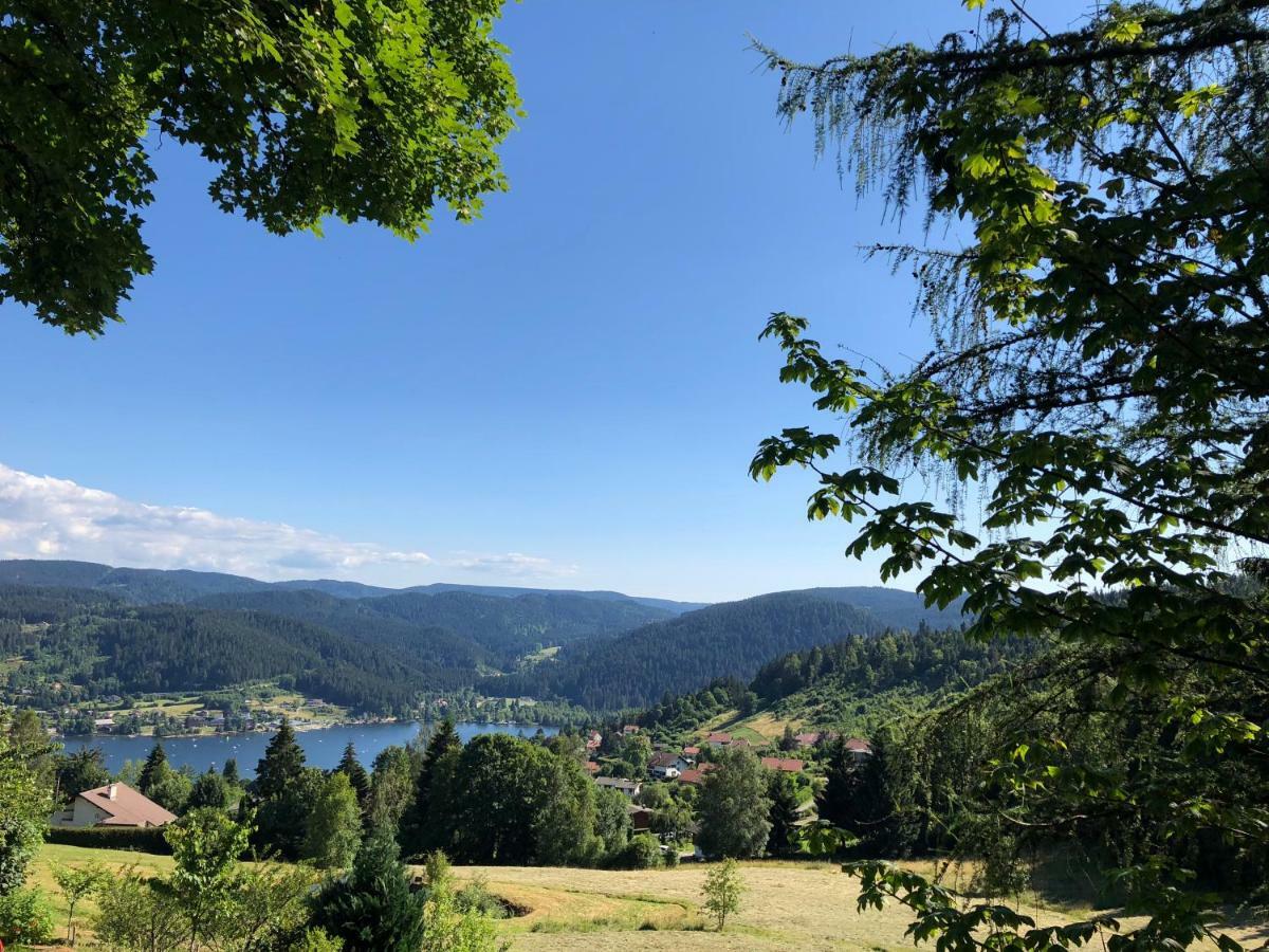 Gerardmer : Residence "l'eau vive" Eksteriør billede