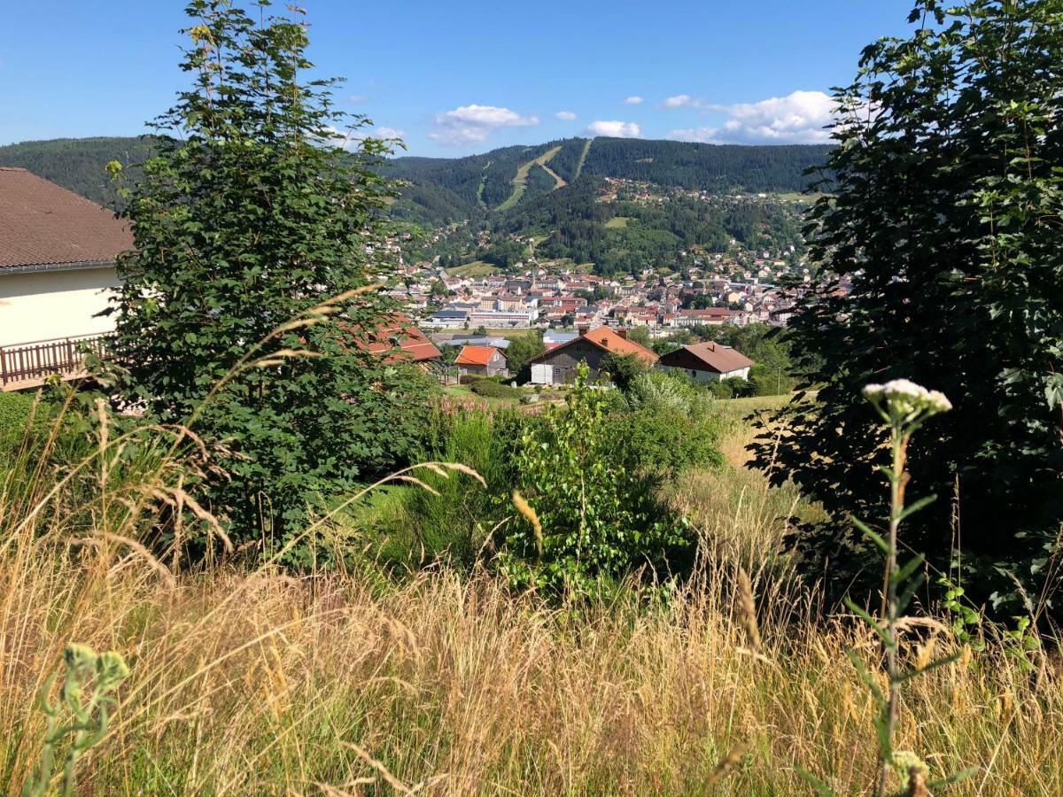 Gerardmer : Residence "l'eau vive" Eksteriør billede