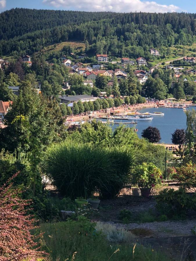Gerardmer : Residence "l'eau vive" Eksteriør billede