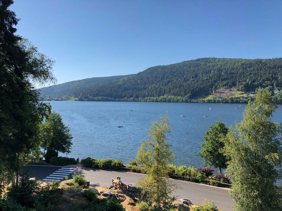 Gerardmer : Residence "l'eau vive" Eksteriør billede